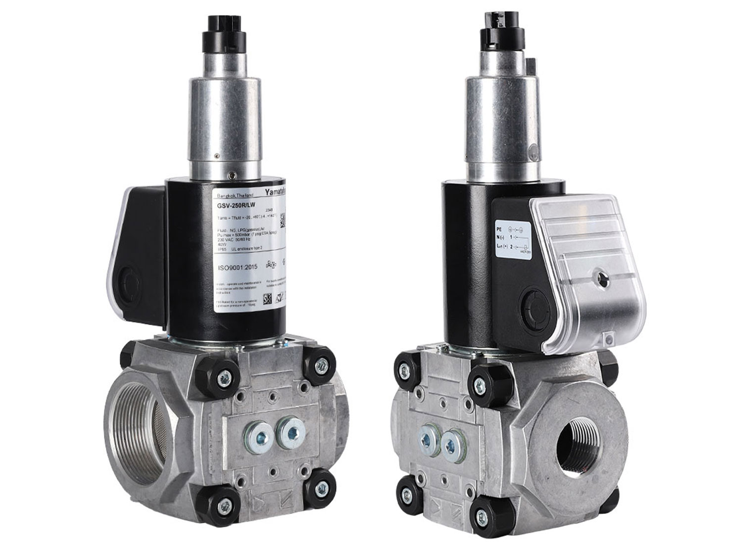 GSV-250R/LW (5)